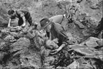 Mass Graves